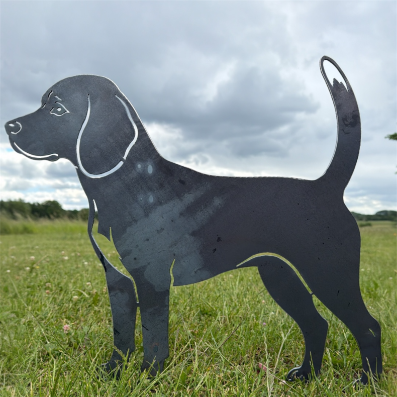 Beagle, udsk�ret