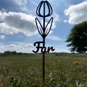 Far tulipan