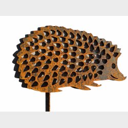 Pindsvin, udskret pigge