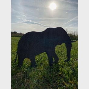 Elefant