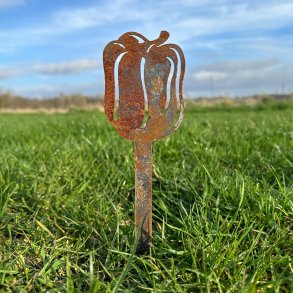 Plantepind med Peberfrugt