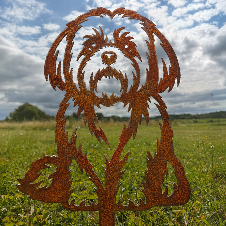 Shih tzu